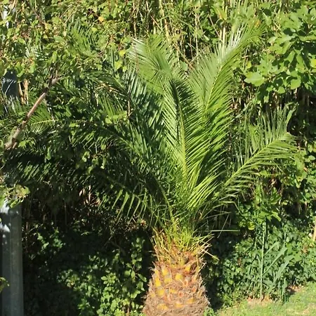 With A Parking Space Mlini, Dubrovnik - 8543 Appartamento