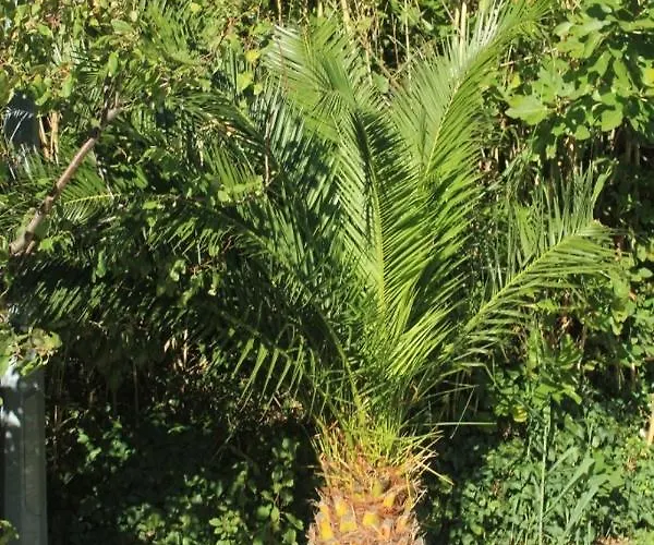 With A Parking Space Mlini, Dubrovnik - 8543 Apartament